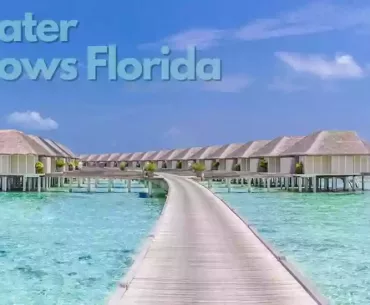 Search And Get The Exclusive And Cheapest Overwater Bungalows Florida