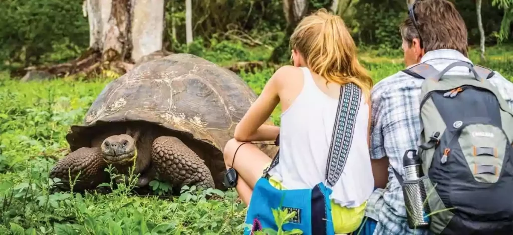 Plan Ahead And Reserve Early To Get The Best Time To Visit Galapagos