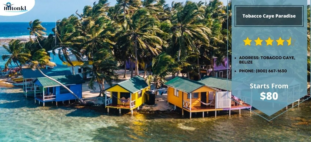 Overwater Bungalows In Belize